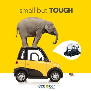 ecocar elephant